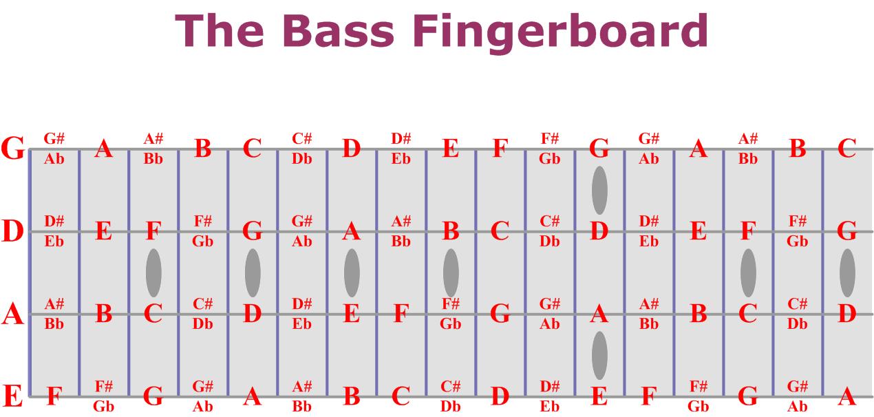 Bass fretboard chart